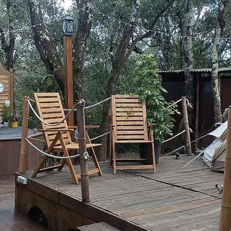 Evasion En Pleine Nature, Tipi Insolite Et Jacuzzi Au Pont Du Gard ! 韦尔-加尔桥 外观 照片