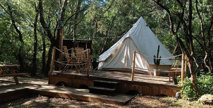 Evasion En Pleine Nature, Tipi Insolite Et Jacuzzi Au Pont Du Gard ! 韦尔-加尔桥 外观 照片
